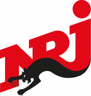Detektivbüro für Wirtschaft & Kriminalistik