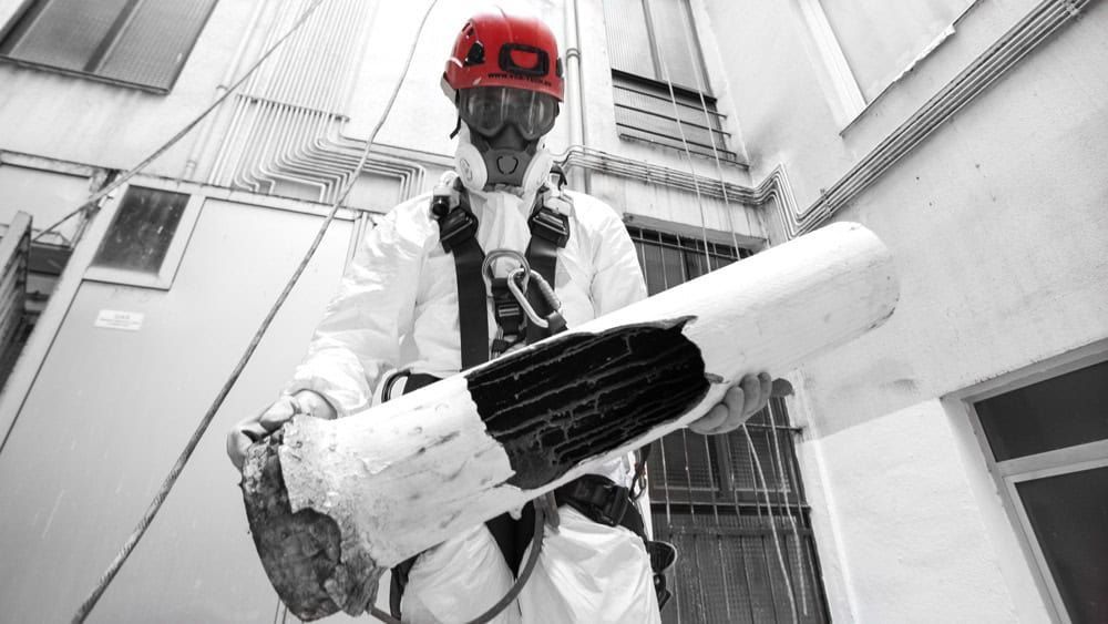 Cucarachas arrastrándose sobre migas y baldosas en el piso cerca de una pared.