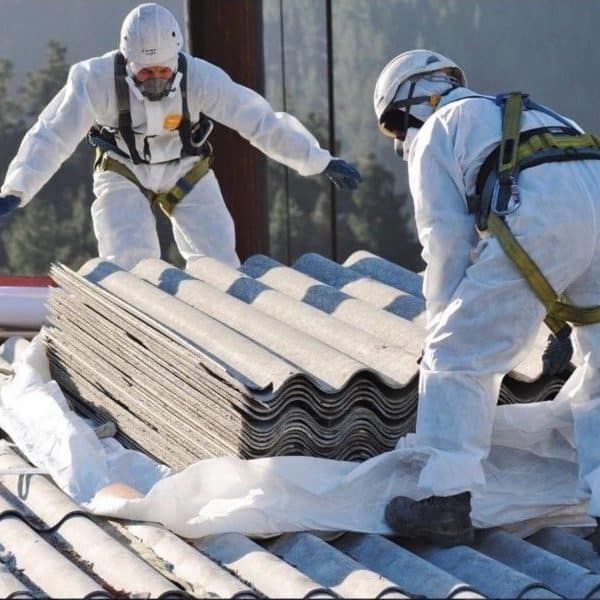 Cucarachas arrastrándose sobre migas y baldosas en el piso cerca de una pared.