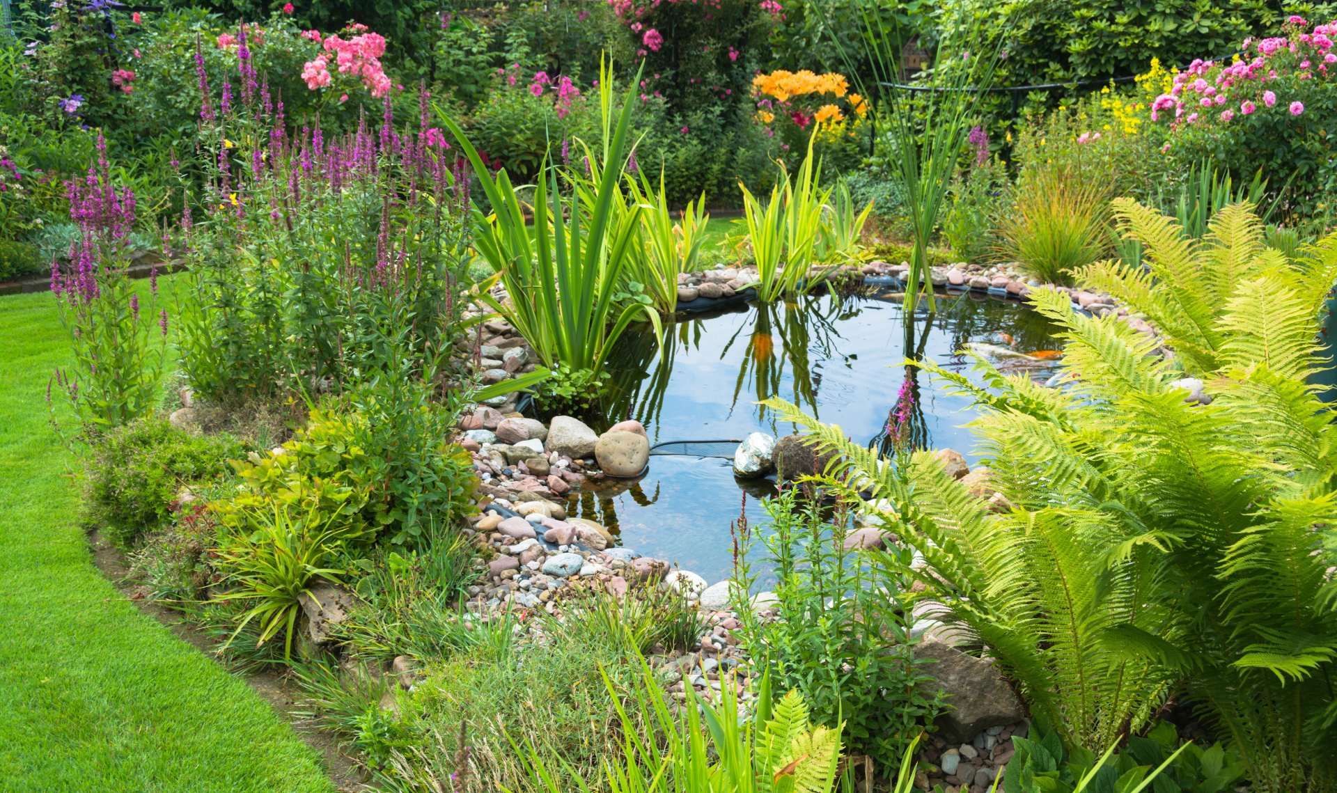Ein Teich inmitten eines Gartens, umgeben von Blumen und Farnen.