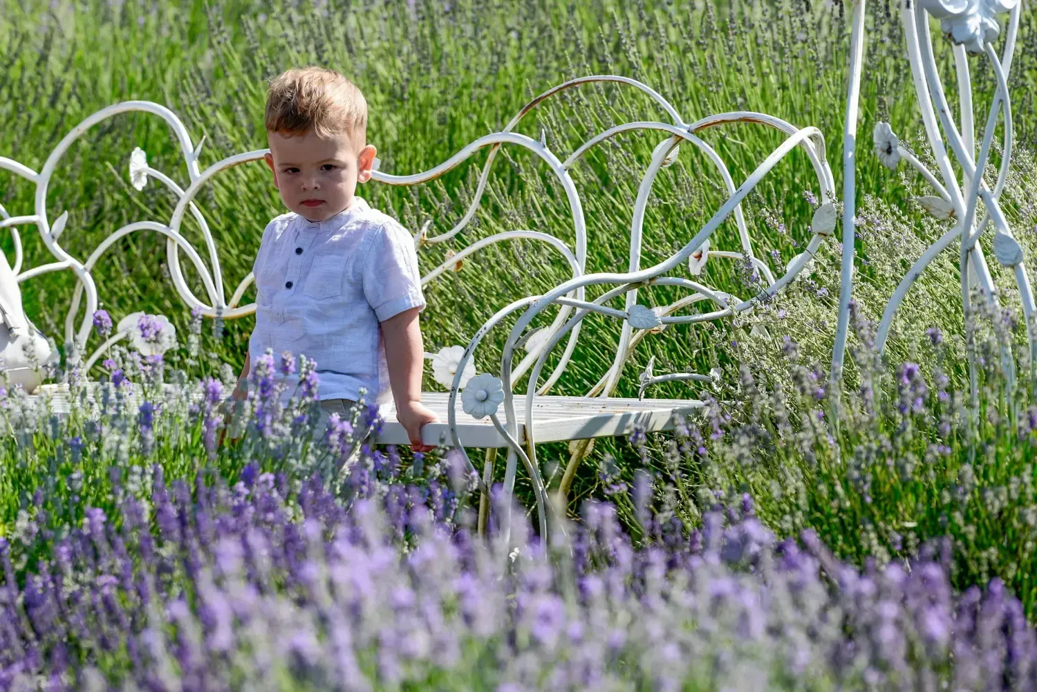 Niña de pie entre flores moradas en una silla de jardín blanca.