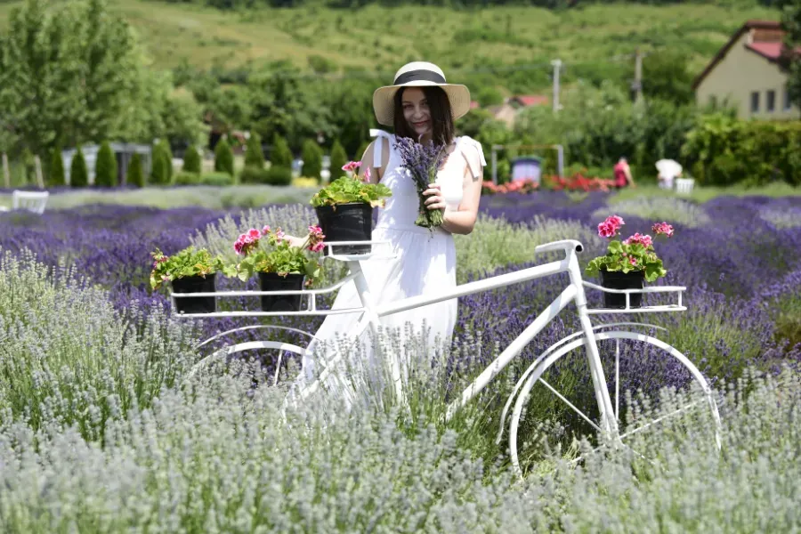 Mujer con vestido blanco en bicicleta en un campo de lavanda, llevando una cesta de flores.