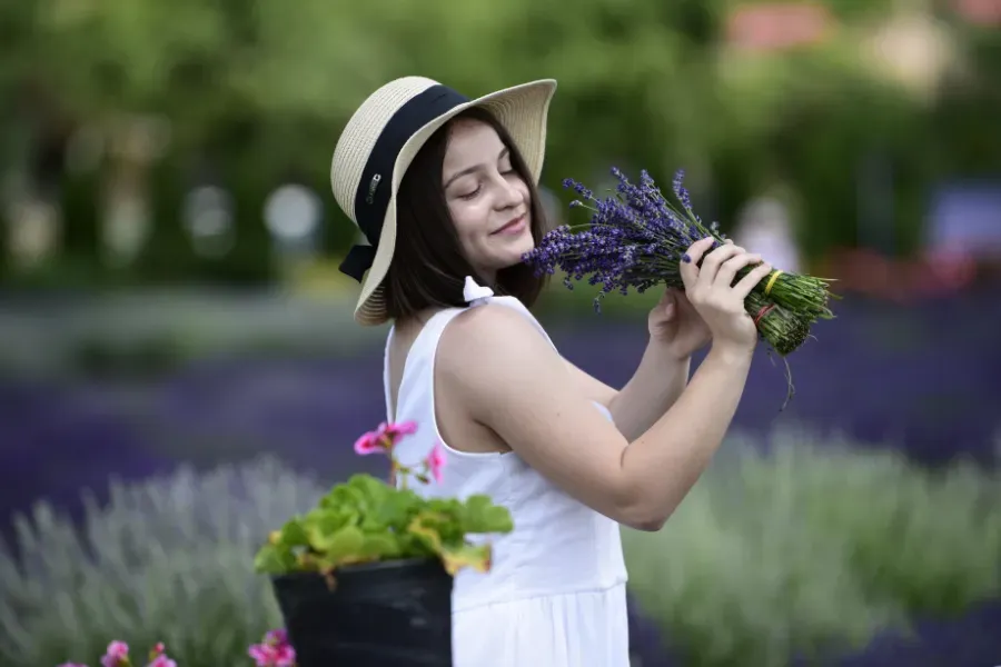 Mujer con vestido y sombrero blancos sosteniendo un ramo de lavanda en un campo de flores.