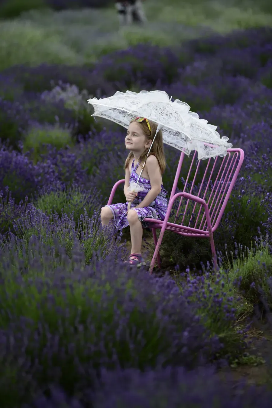 Un niño sentado en una silla rosa en un campo de flores moradas, sosteniendo una sombrilla blanca.