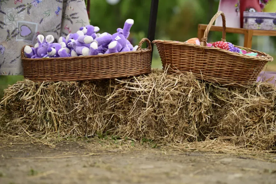 Dos cestas de flores moradas sobre una paca de heno al aire libre.