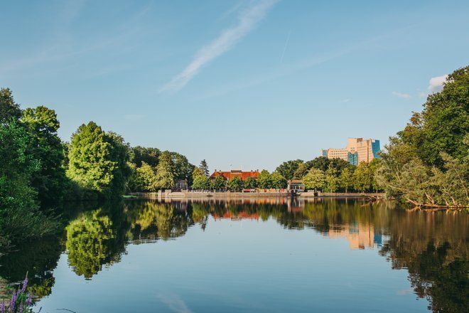 Het kalme meer weerspiegelt de bomen en gebouwen onder een blauwe hemel in het Stadspark in Groningen
