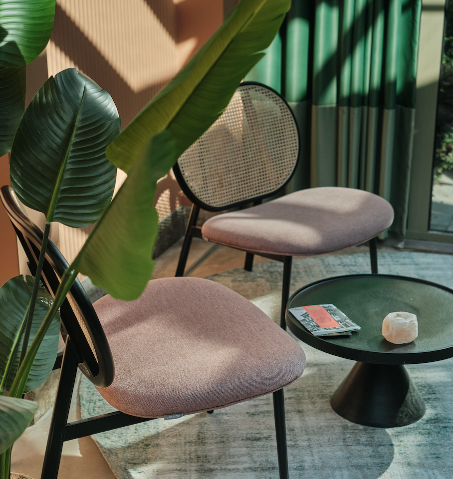 Twee stoelen en een tafel met een plant op de achtergrond