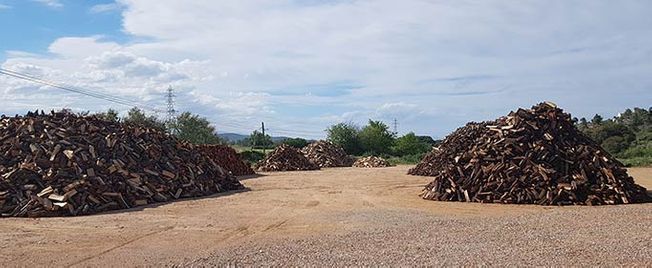 Piles d'estelles de fusta en un terreny de terra sota un cel ennuvolat.
