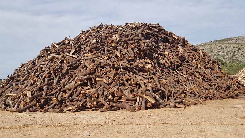 Pila de troncs de fusta marró sobre un terreny sorrenc, a l'aire lliure sota un cel ennuvolat.