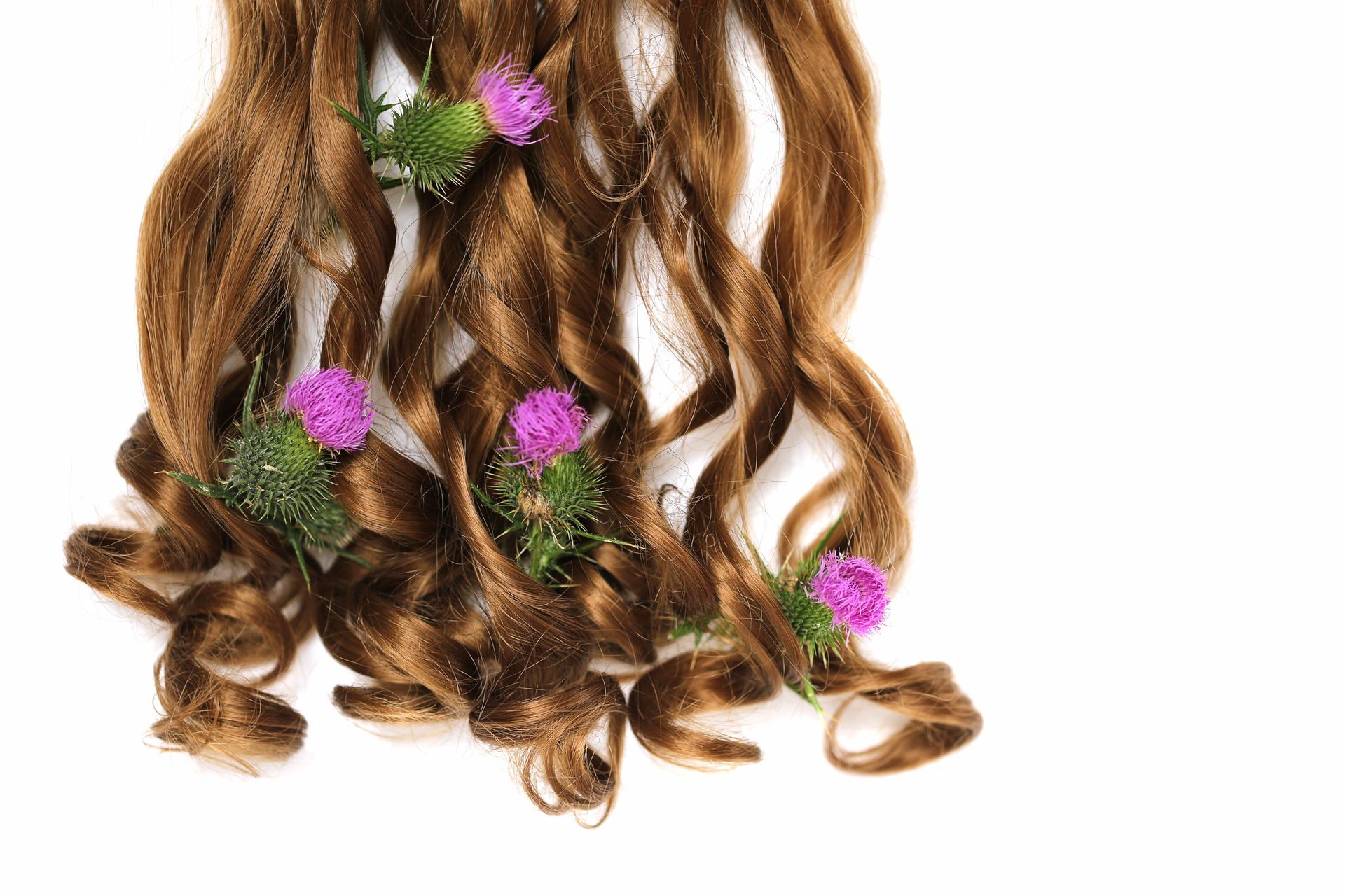Longs cheveux bouclés avec des chardons