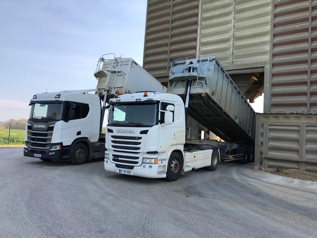Deux semi-remorques blanches déchargent des céréales sur un convoyeur métallique à côté d'un grand entrepôt.