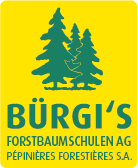 Logo - Bürgi's Forstbaumschulen AG