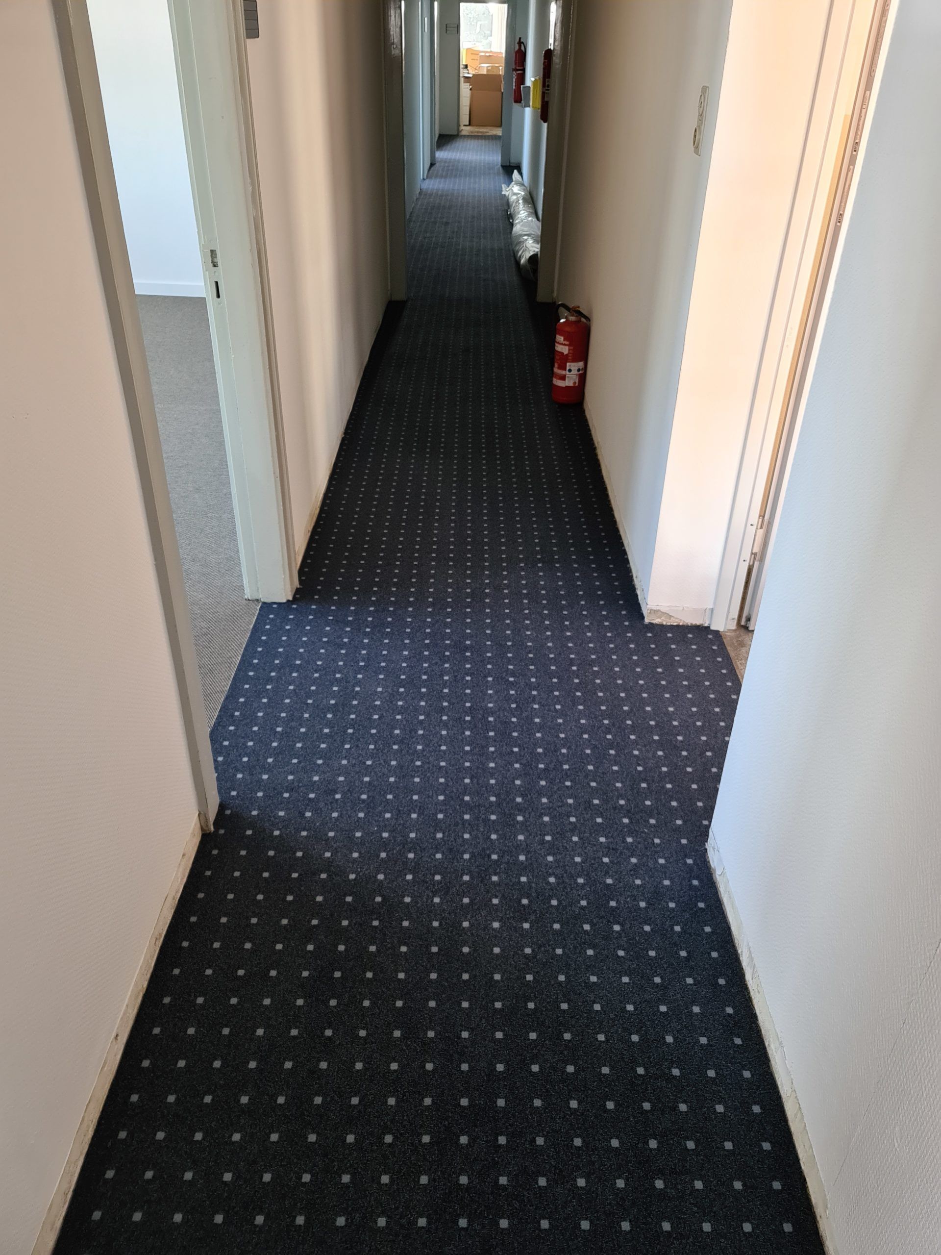 ein langer Flur mit blauem Teppich und weißen Wänden .