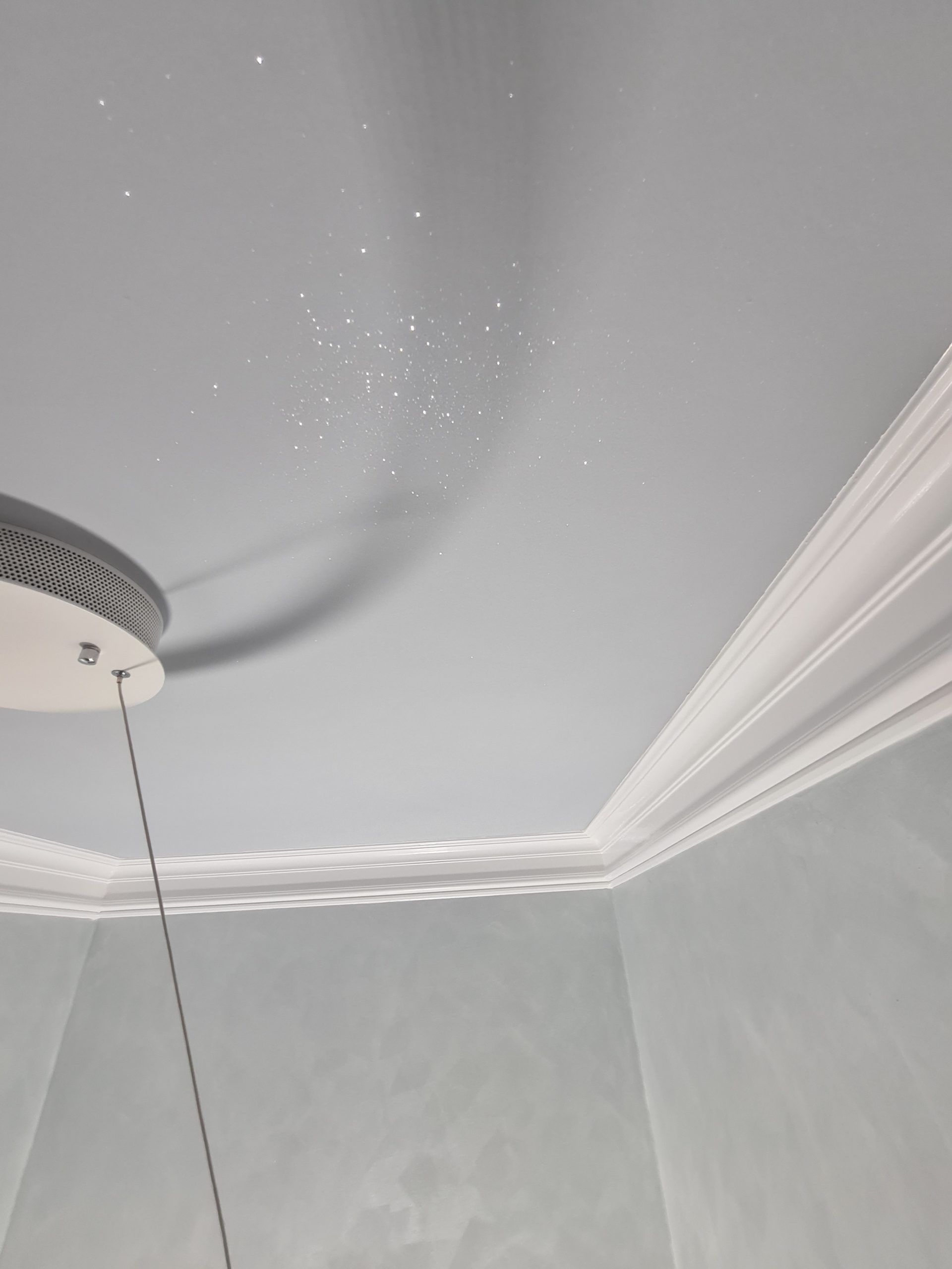 Badezimmer mit Glitzer Decke. Maler Rostock