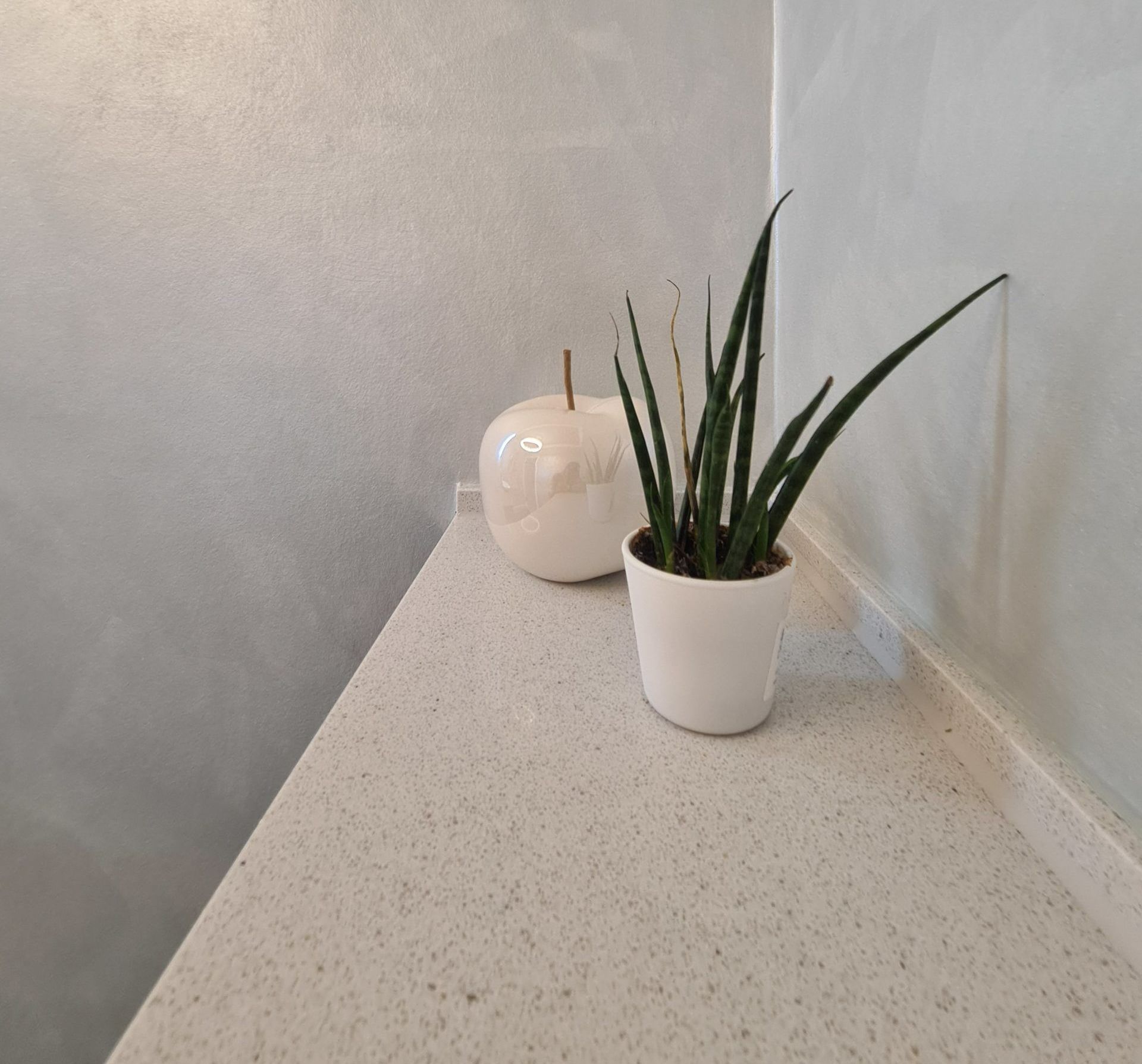 Badezimmer mit Pflanze. Malerarbeiten im Badezimmer in Rostock