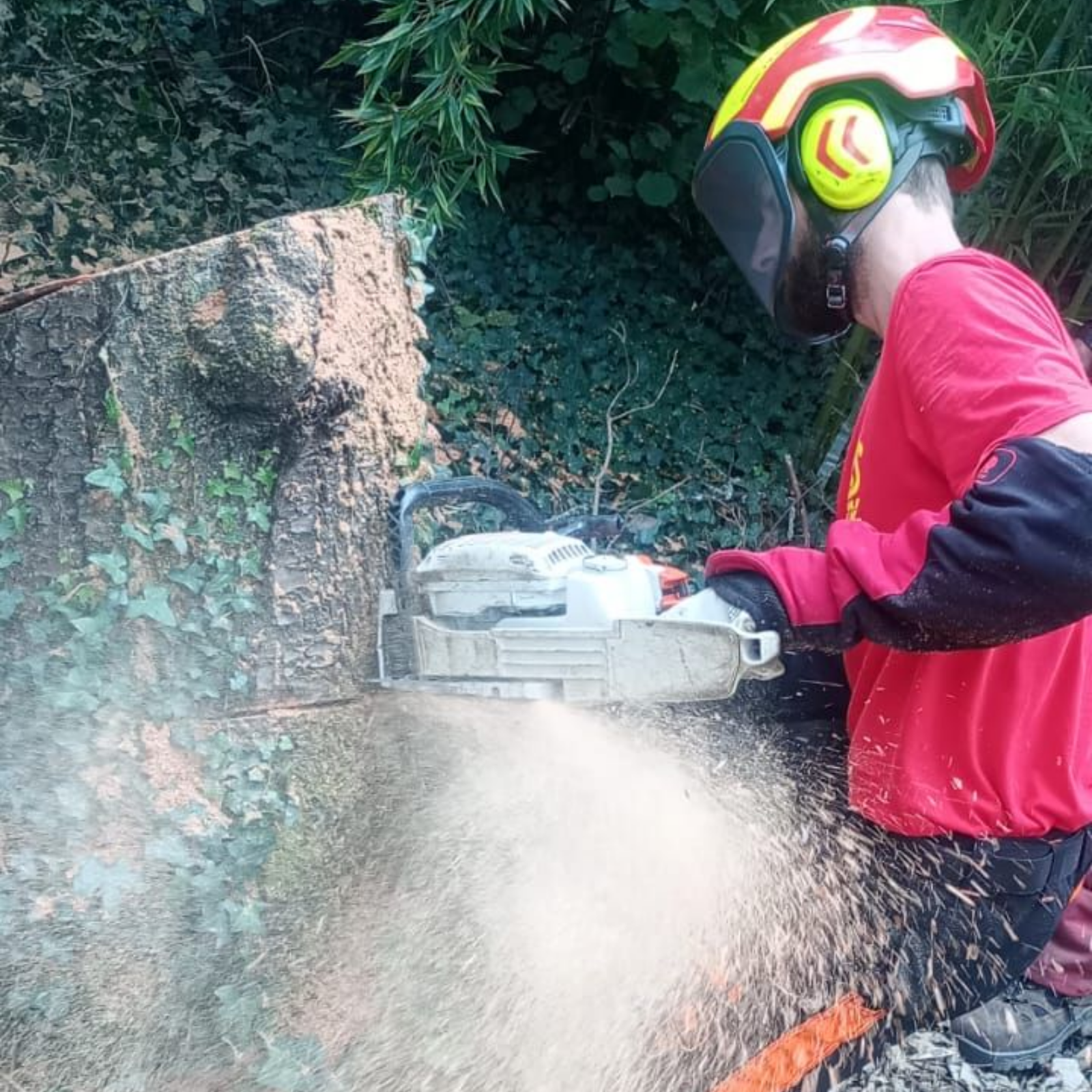 Une personne avec un casque utilise une tronçonneuse pour couper un tronc d'arbre dans une zone boisée.