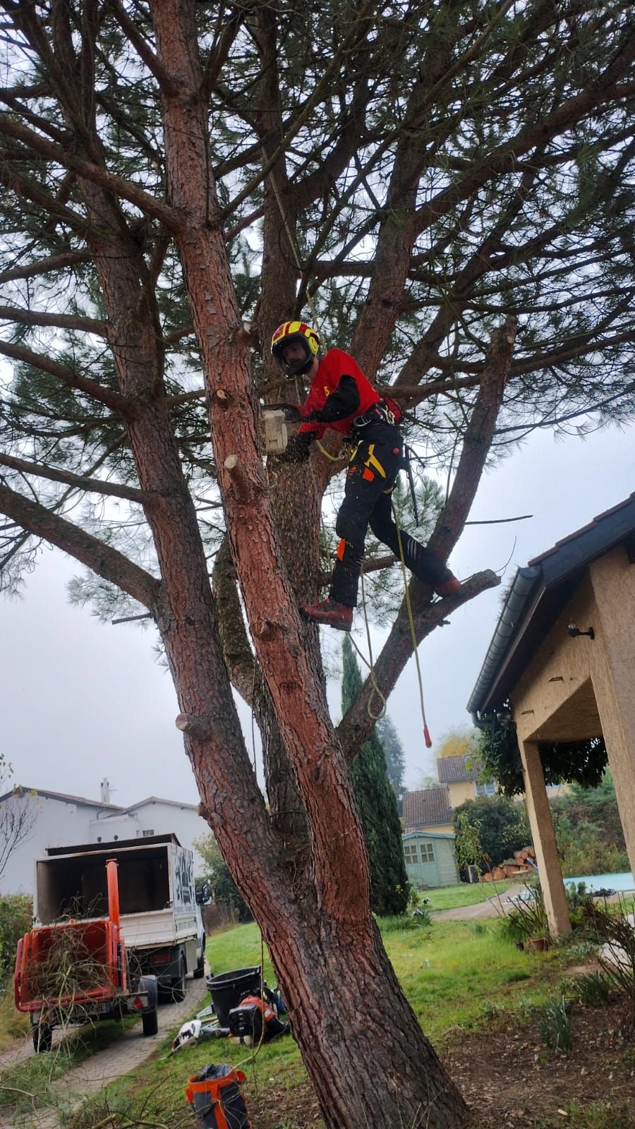 Un élagueur en tenue rouge grimpe à un grand arbre près d'une maison, son matériel étant en dessous.
