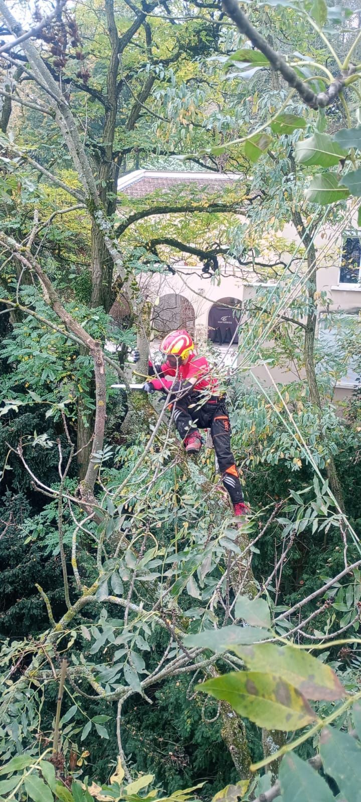 Une personne en veste rouge élague dans un jardin dense près d'un bâtiment.