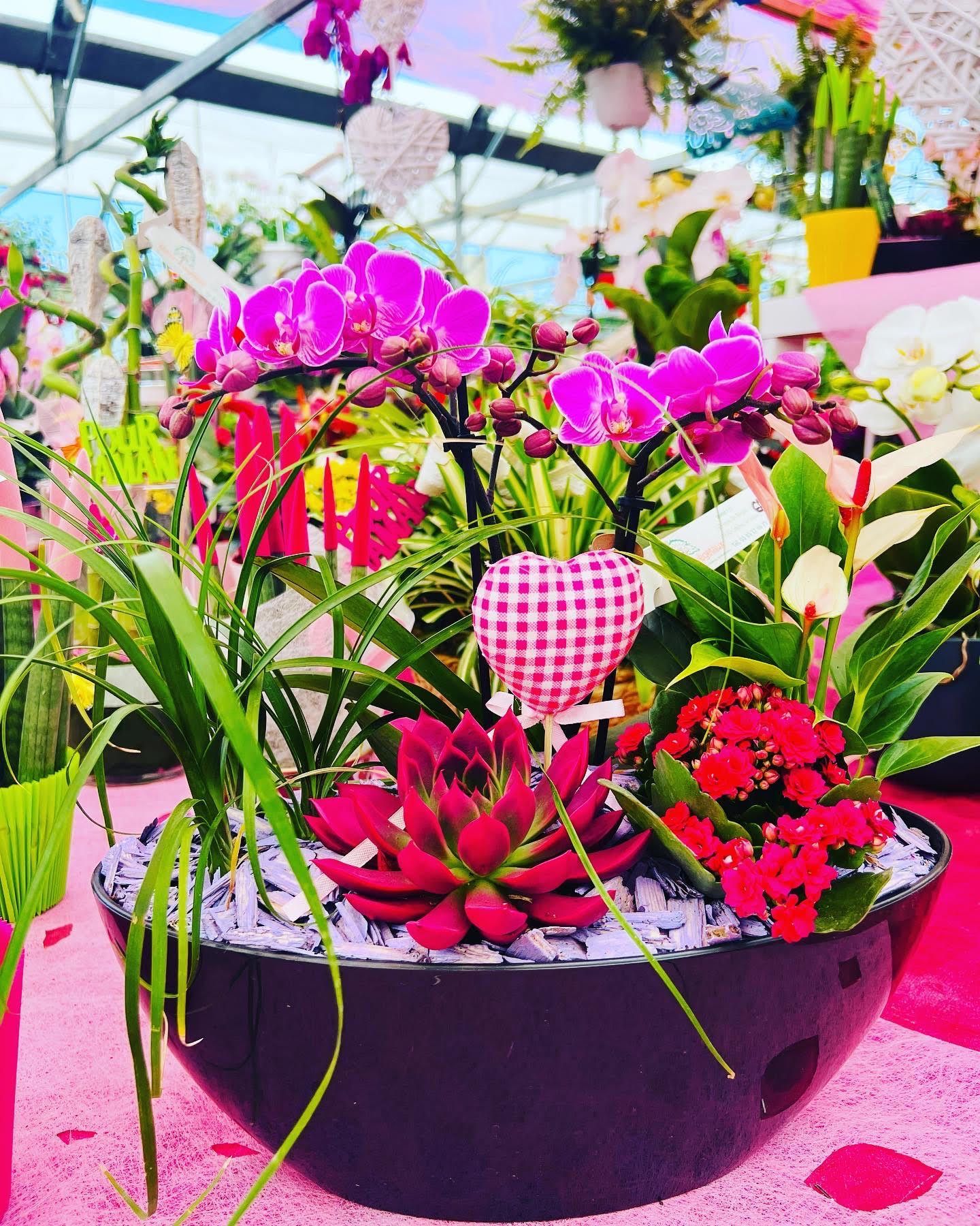 Arrangement floral coloré avec des orchidées, plantes grasses et fleurs décorées de cœurs et de papillons, idéal pour un cadeau ou une décoration festive.