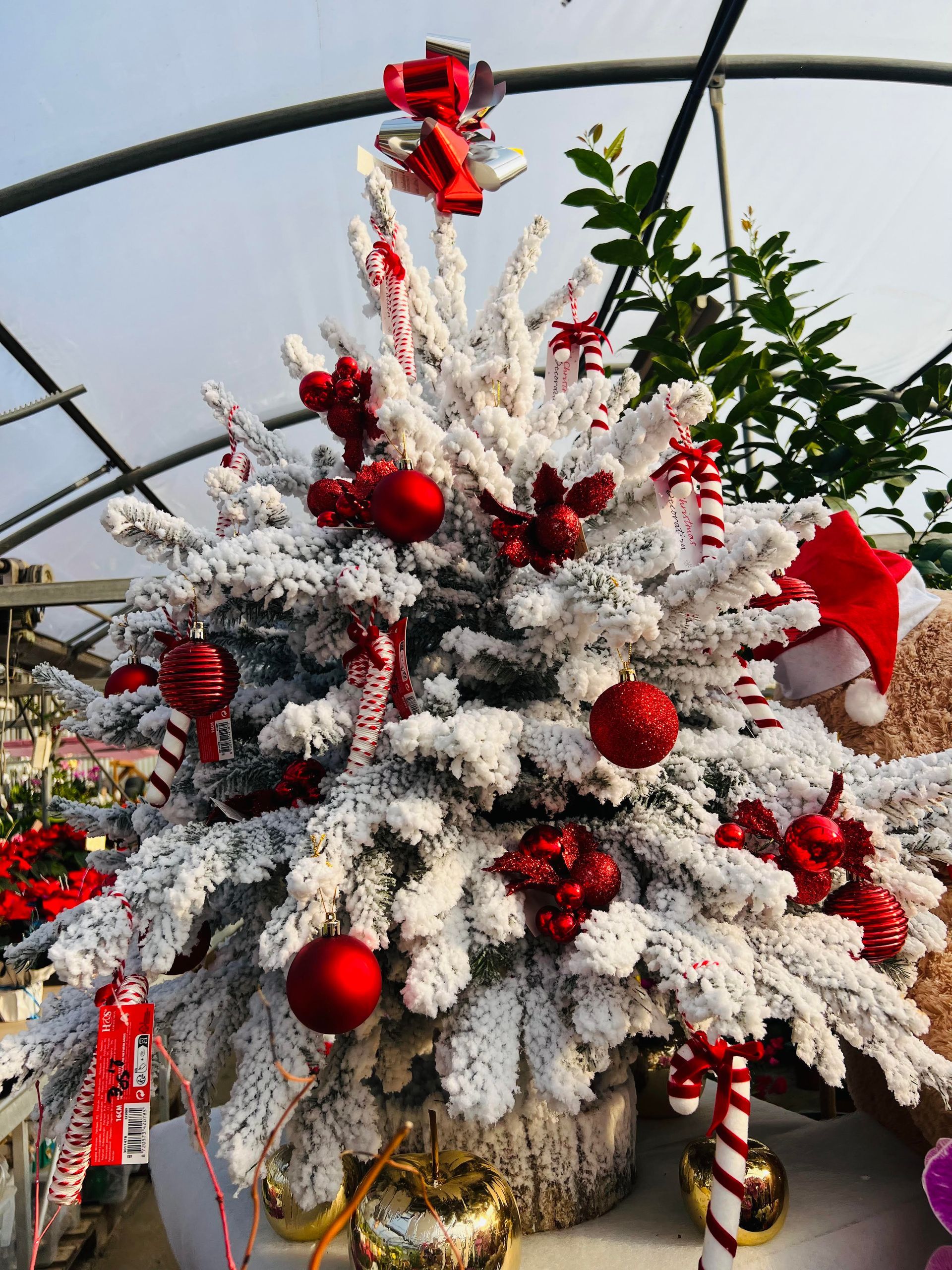 Sapin de Noël enneigé décoré avec des boules rouges, des guirlandes et un bonnet de Père Noël, idéal pour célébrer les fêtes.