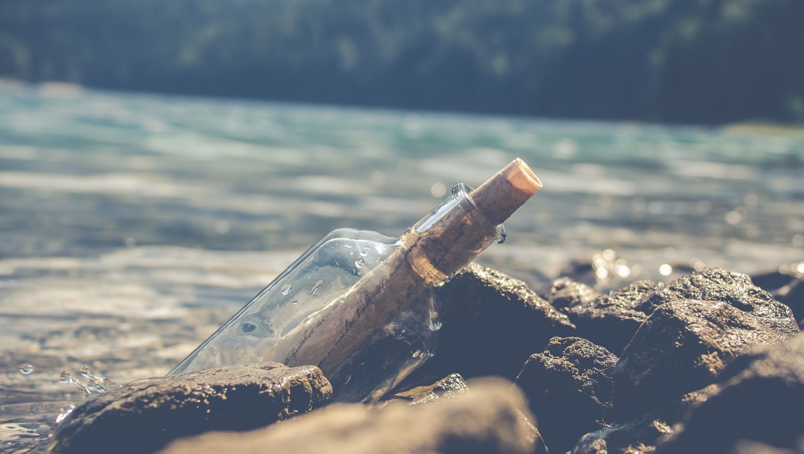 Eine Flaschenpost wurde an einer felsigen Küste angeschwemmt, im Hintergrund ist das blaue Wasser und die Bäume unscharf.