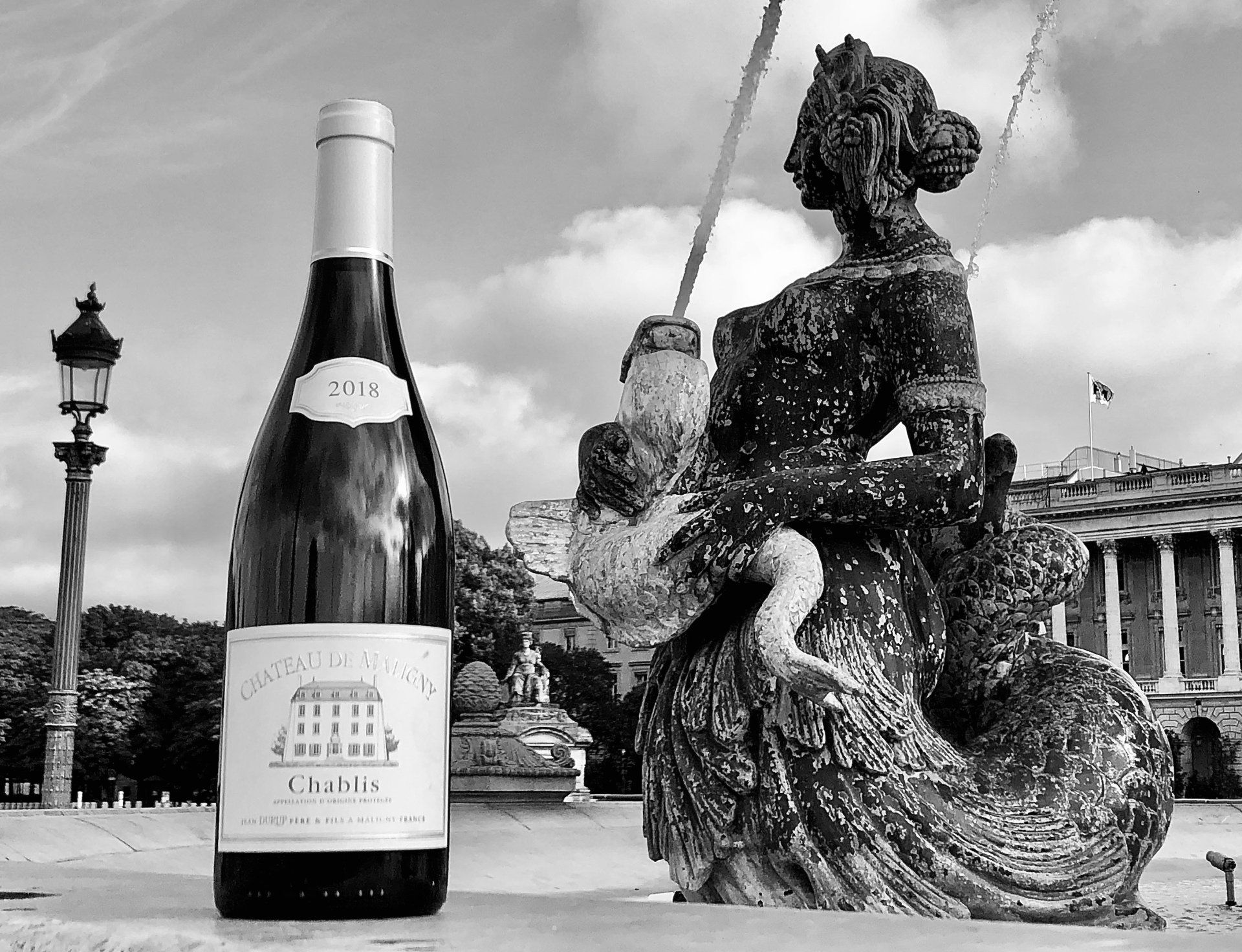 Château de Maligny noir et blanc