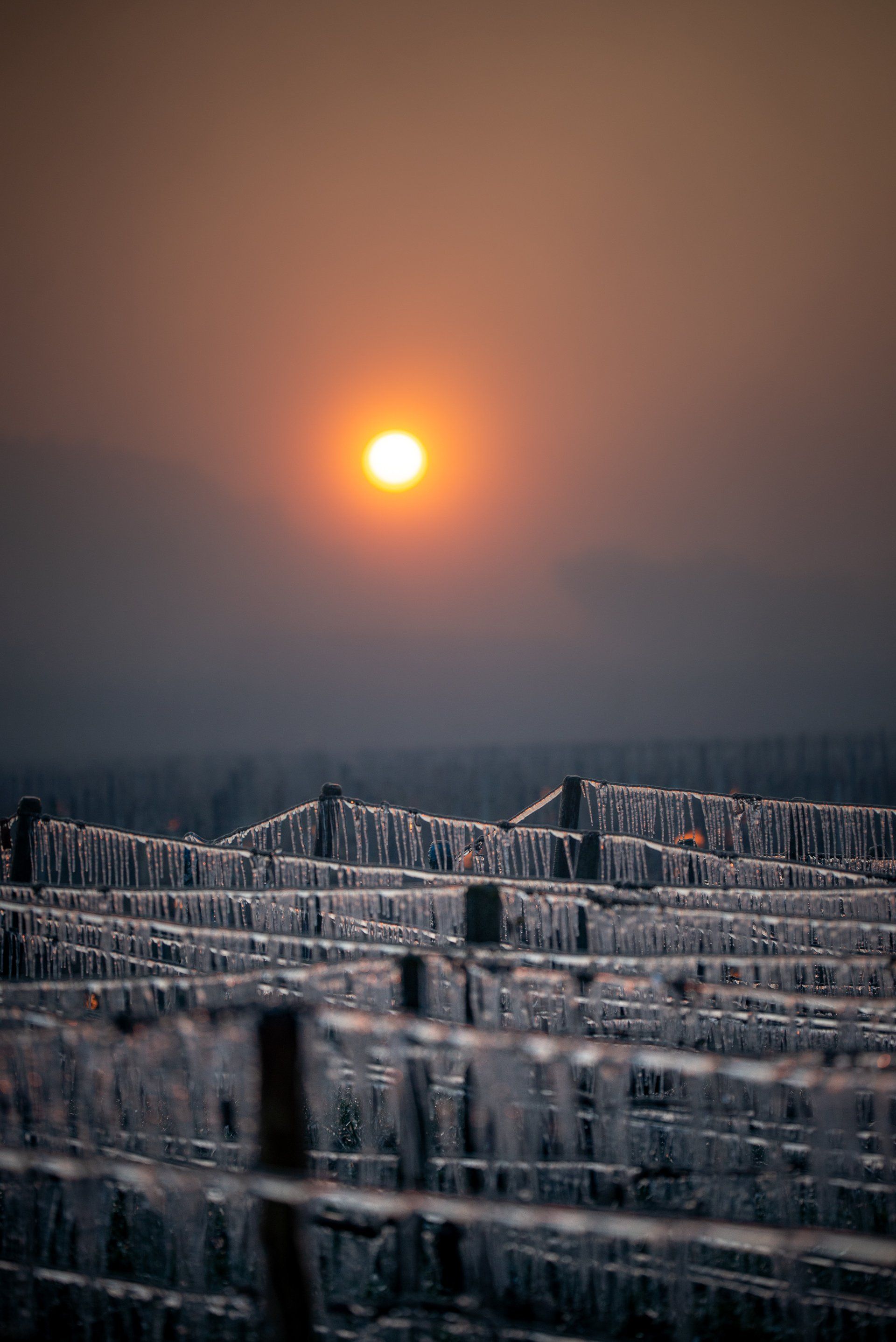 Vague de froid et de gel dans notre vignoble