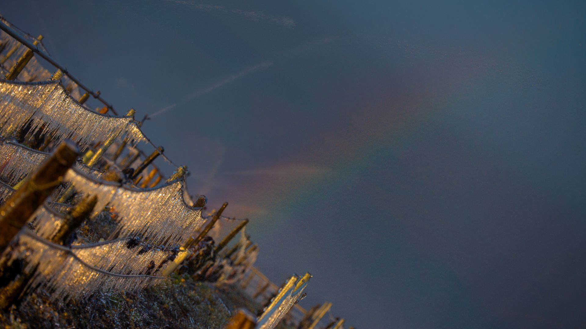 Domaine gel et froid