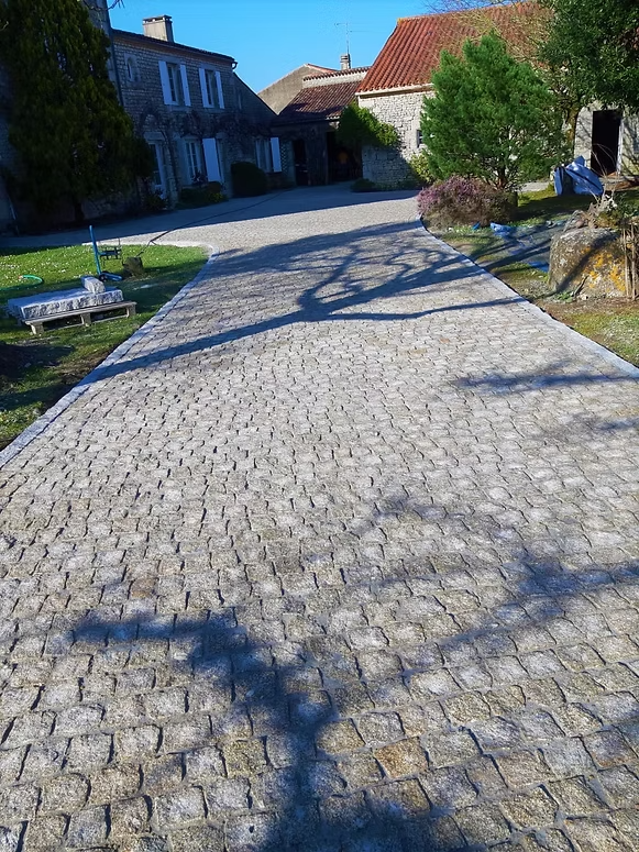 Allée pavée ensoleillée.