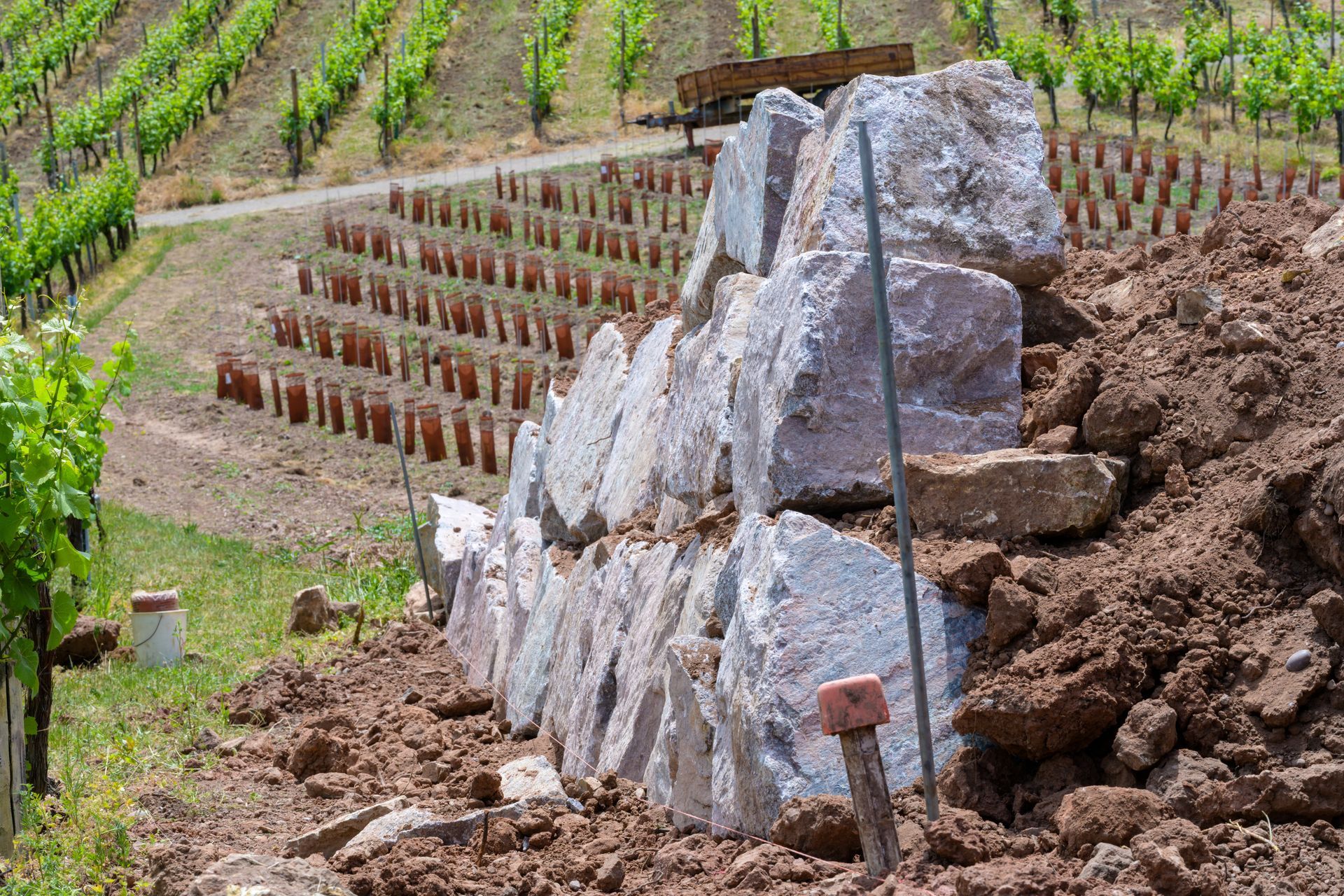 Mur de soutènement en pierre en construction sur un coteau boueux, avec des rangées de vignes en arrière-plan.