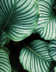 Katrin Weber - Platzhalter