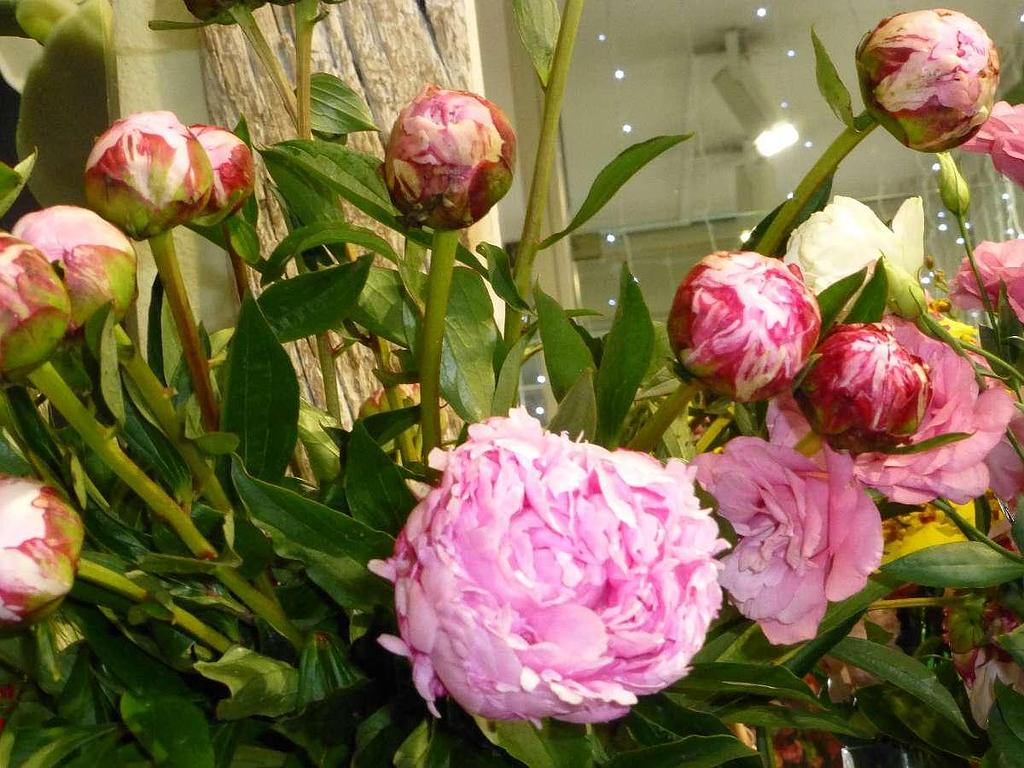 L'Atelier Floral : fleurs coupées, roses – Villenave-d'Ornon