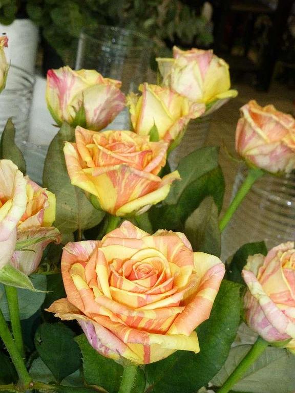 L'Atelier Floral : fleurs coupées, roses – Villenave-d'Ornon