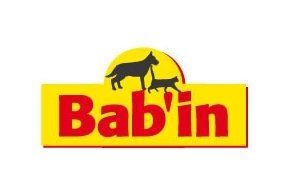 Bab'in
