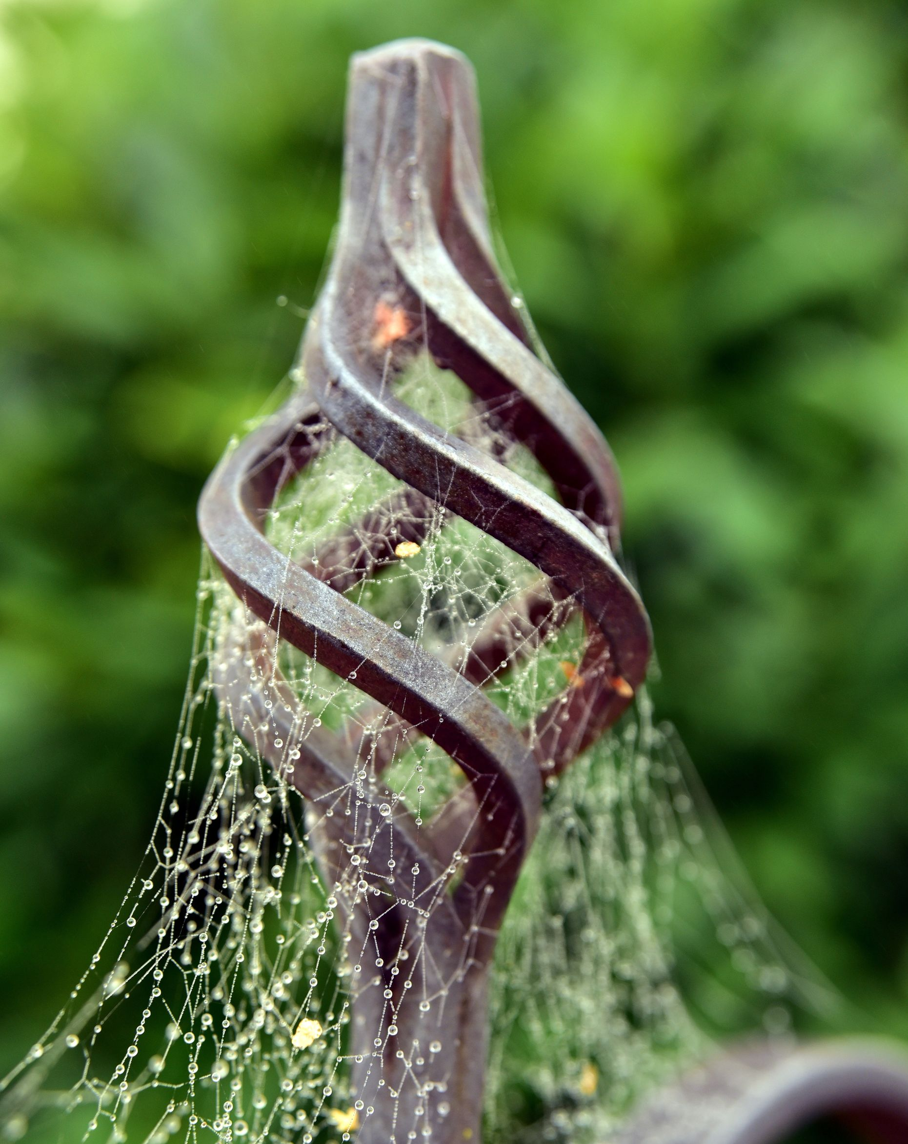 Pointe en spirale en fer forgé