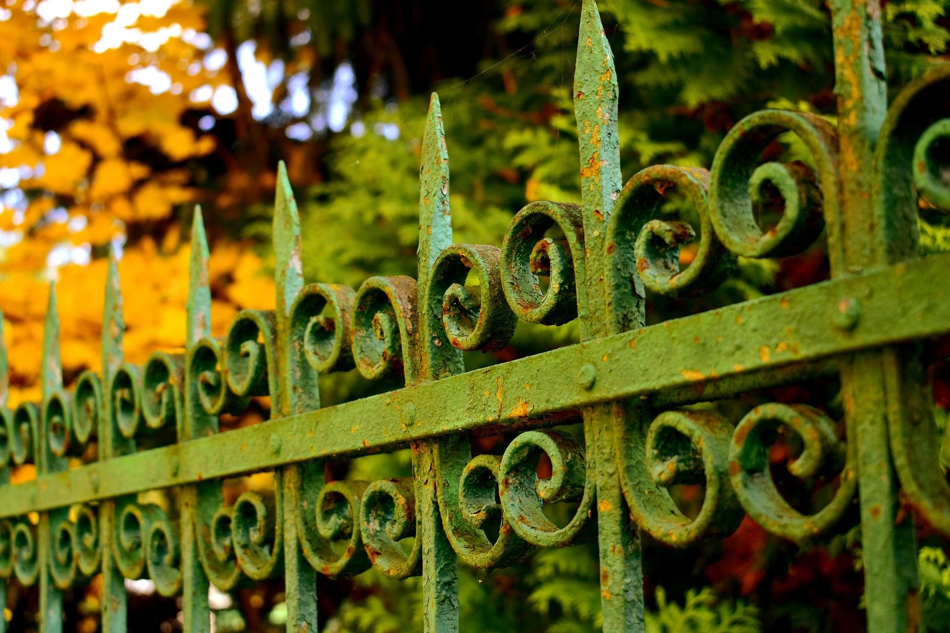 Grille en fer forgé verte