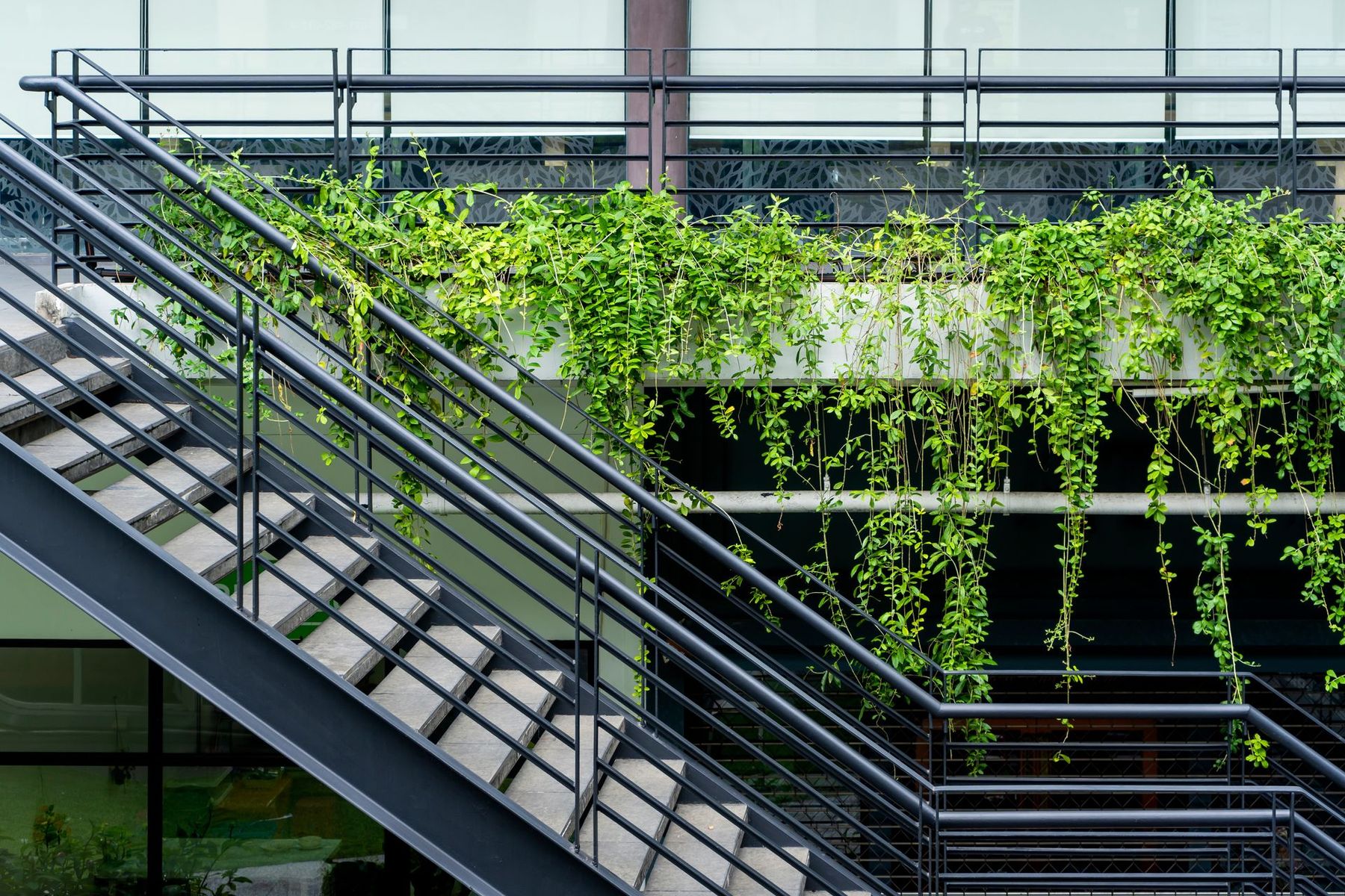Escalier métallique et verdure