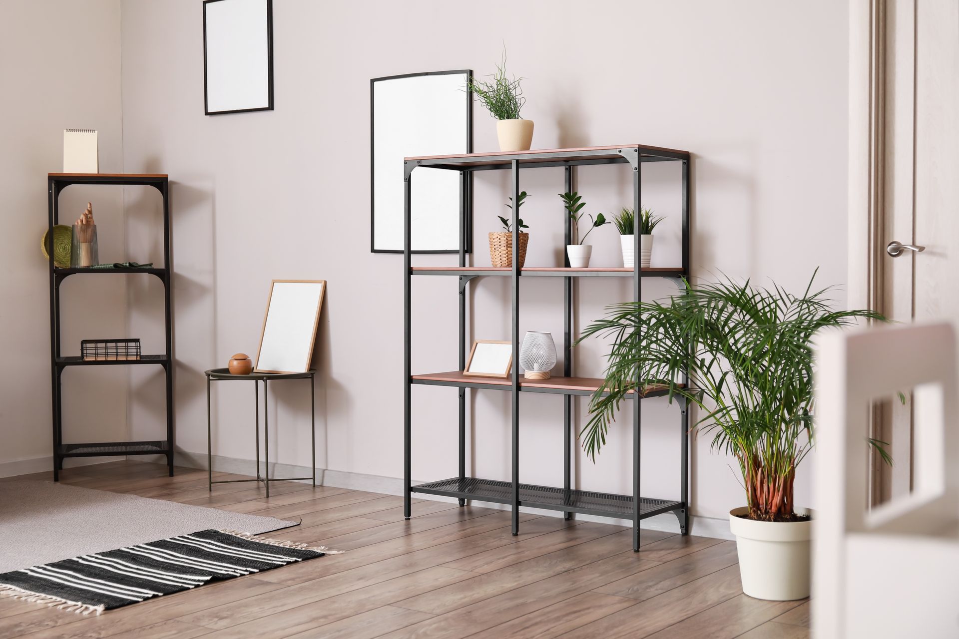 Étagère avec plantes en pot, cadres vierges et objets décoratifs dans une pièce avec parquet et tapis.