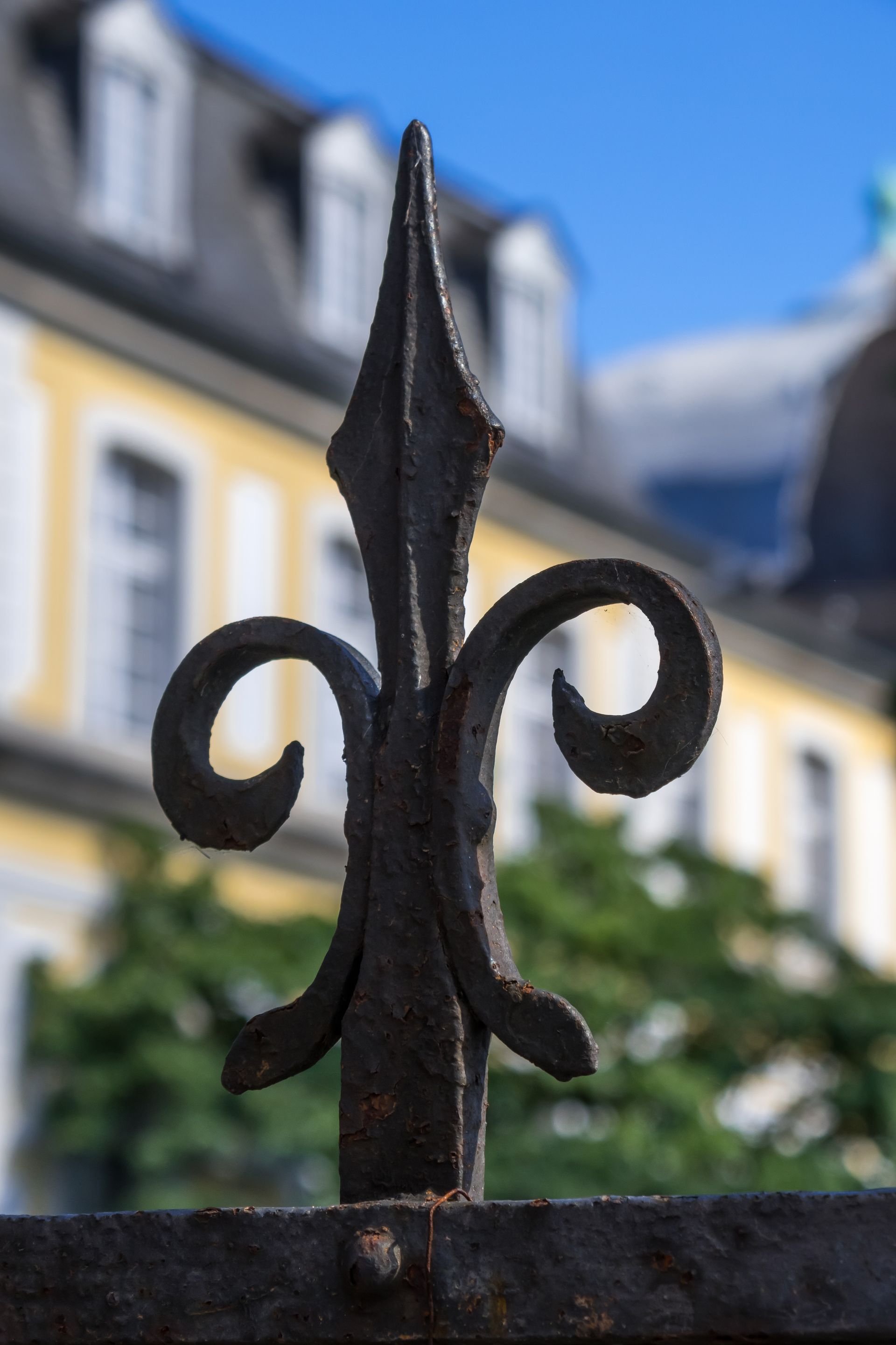 Grille de défense en fer forgé