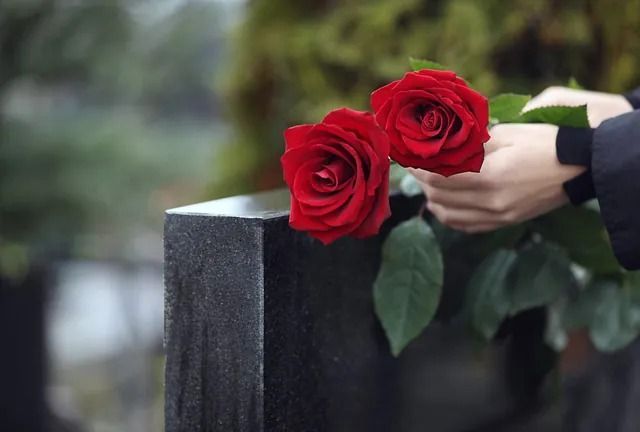Una persona sostiene dos rosas rojas frente a una lápida.