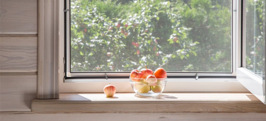 Una ventana con fruta en el alféizar. Se ve follaje verde a través de la mosquitera.