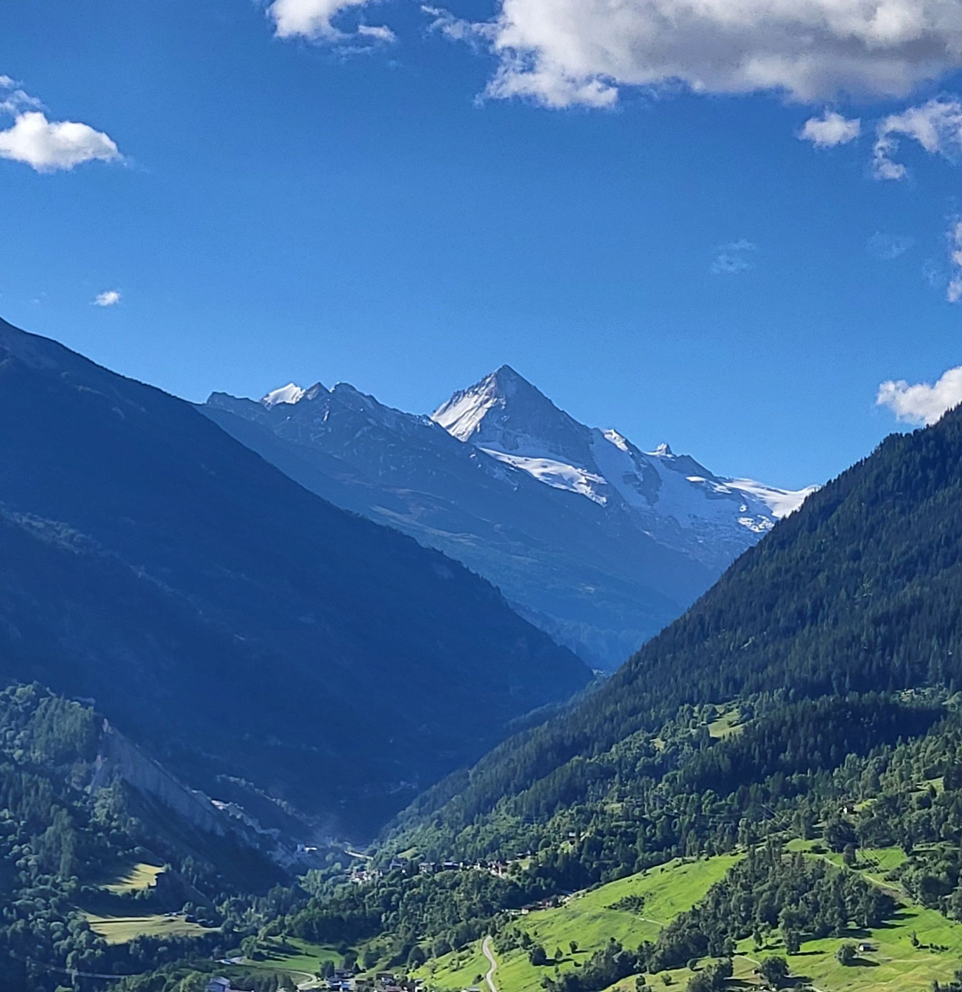 Un sommet enneigé surplombe une vallée verdoyante sous un ciel d'un bleu éclatant.