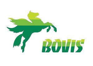 Logo groupe Bovis