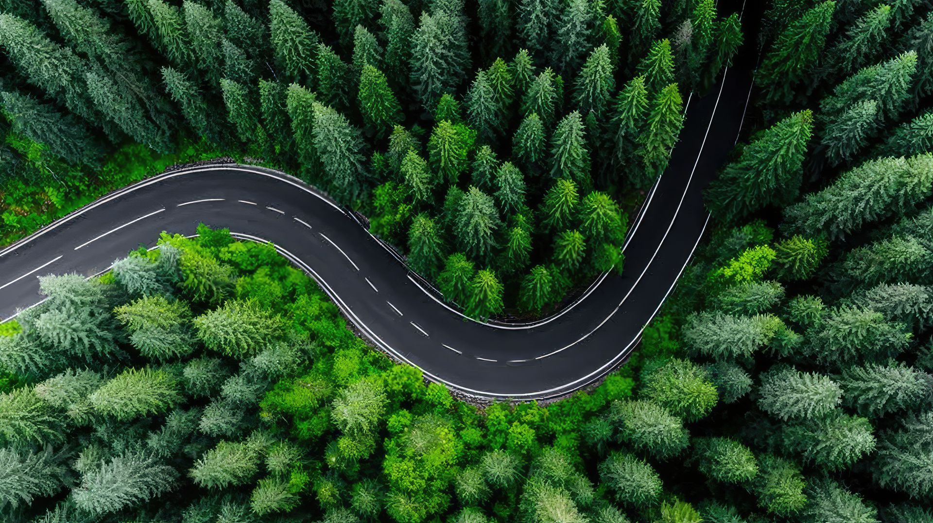 Vue du ciel d'une petite route sineuse dans la forêt.