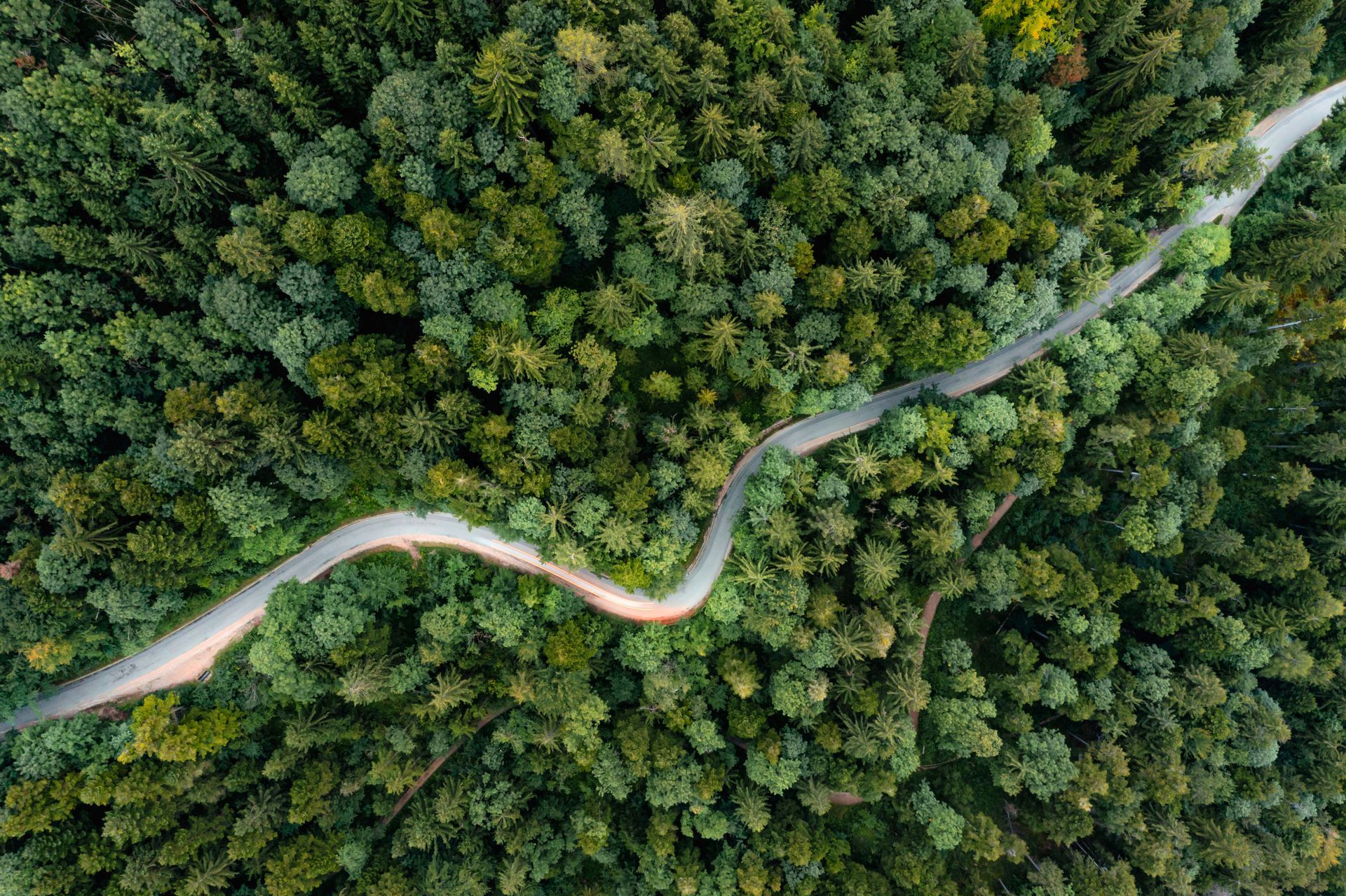 Vue du ciel d'une petite route sineuse dans la forêt.