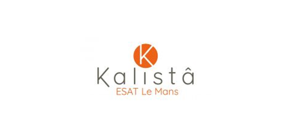 Logo ESAT Le Mans.