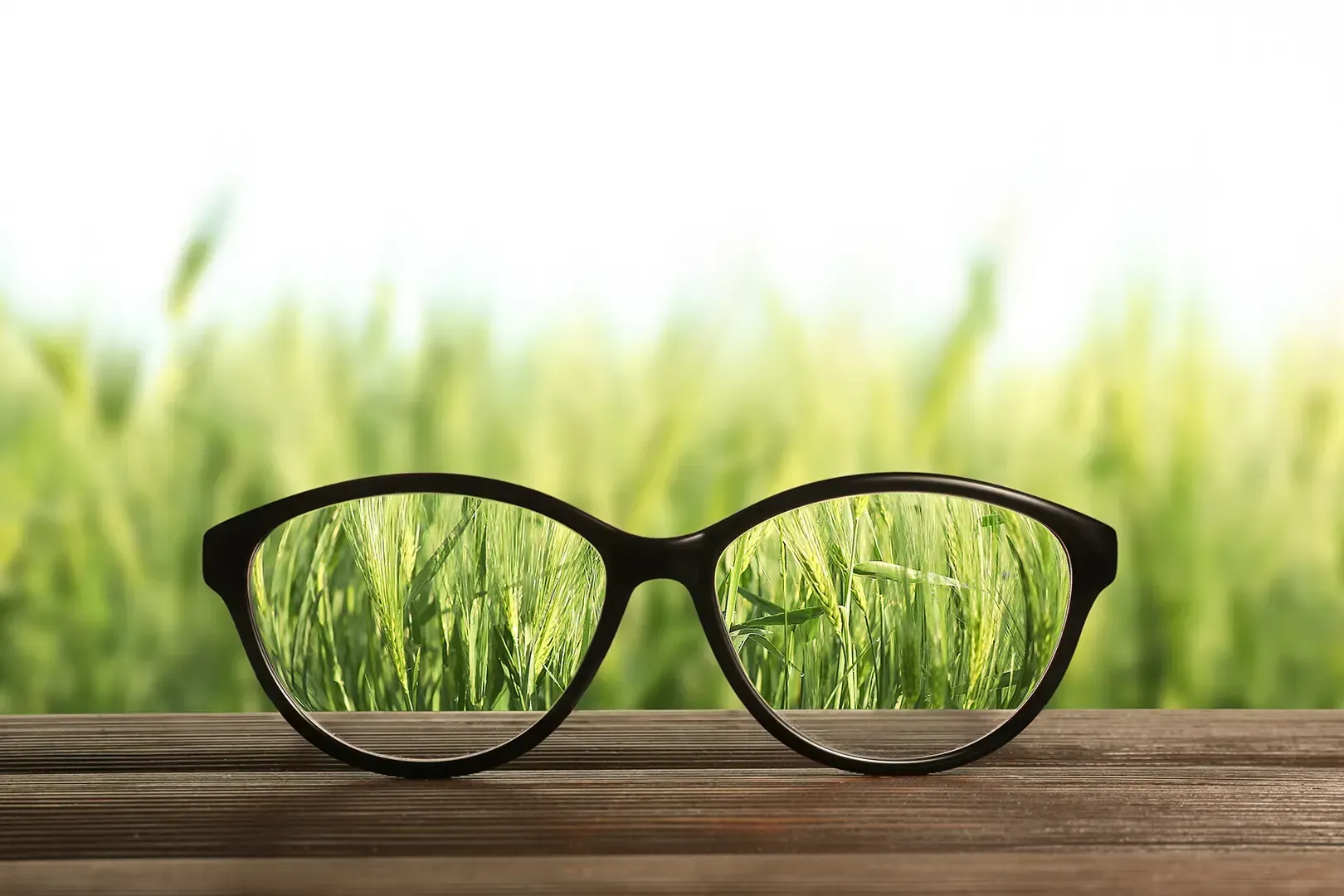 Eine schwarz umrandete Brille liegt auf einer Holzfläche vor einem verschwommenen, hellgrünen Feld mit hohem Gras.