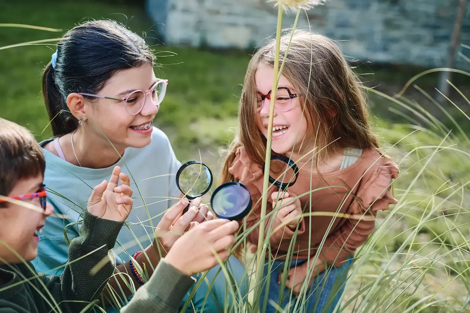 drei Personen mit Brillen und Lupen auf einer Wiese an einem Sommertag