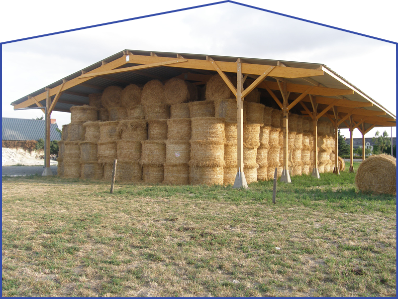 Des bottes de foin empilées sous un abri au toit de bois, dans un champ herbeux.