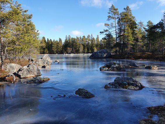 Psykologi Leena Mäki-Haapoja